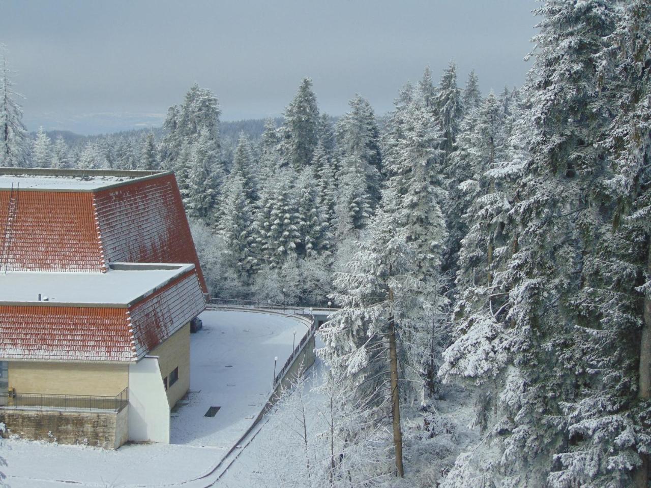 Ski Apartment Boyika Iglika 2 Borovets Luaran gambar